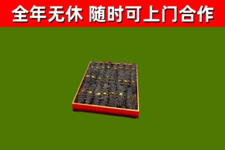 陵水县回收海参